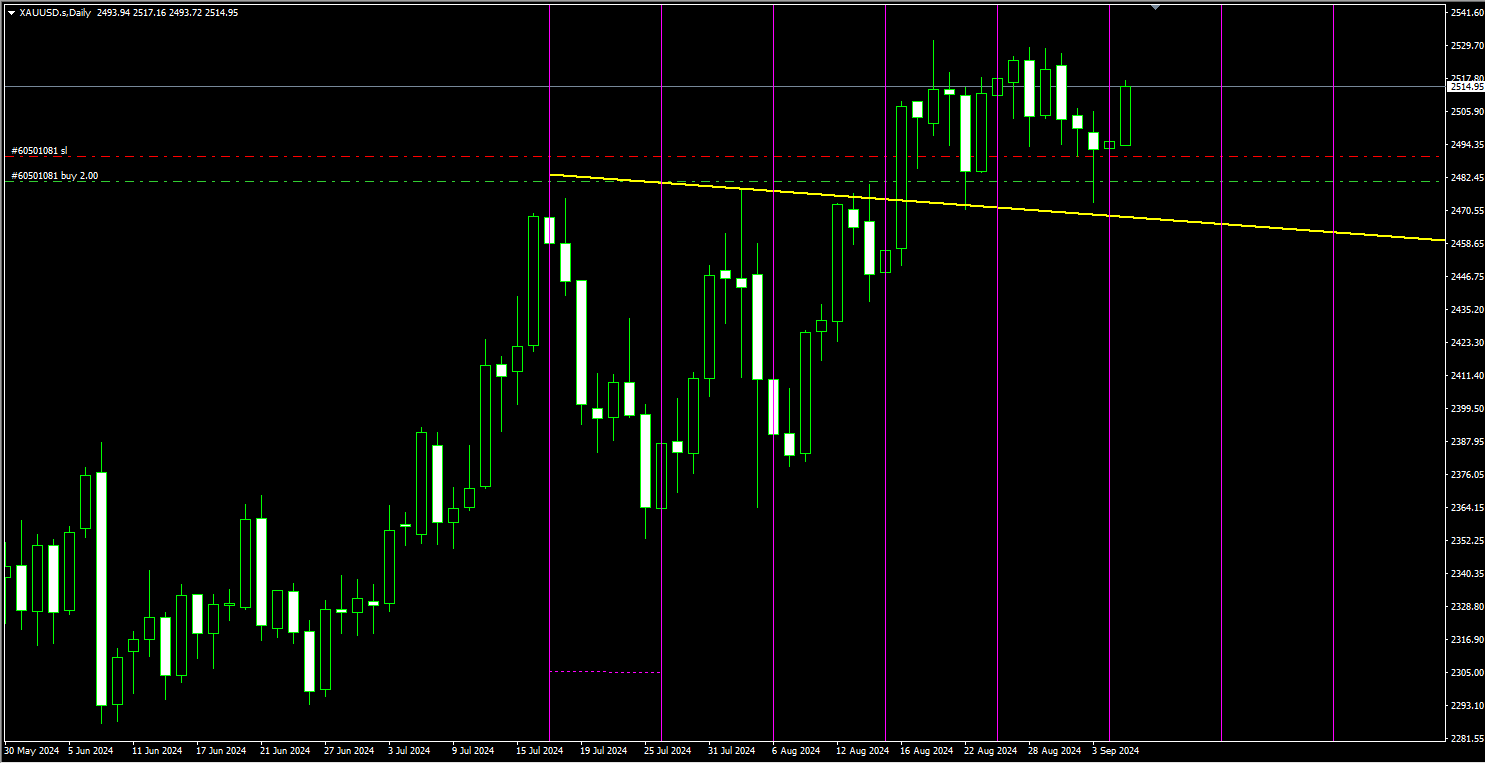 2024年09月06日:薛晓庆：顶底转换成功，黄金枕戈待涨？